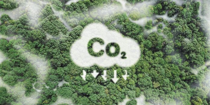 El papel de los mercados de carbono para impulsar la transición energética